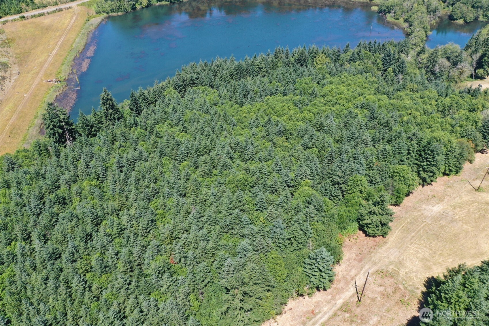 21500 Tono Road Southeast Centralia, WA 98531 - Photo 6 of 39