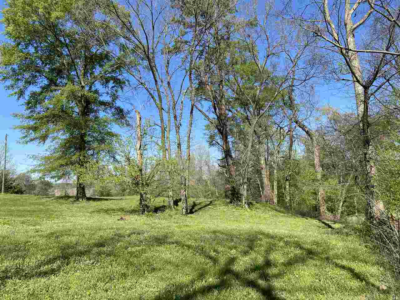 0 Generette Road, Unit 1 Yazoo City, MS 39194 - Photo 3 of 6 Photo 3