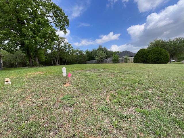 Expansive green lawn with mature trees and a clear sky