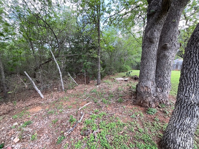 117 Allison Cove Elgin, TX 78621 - Photo 12 of 15 a backyard of a house with lots of green space