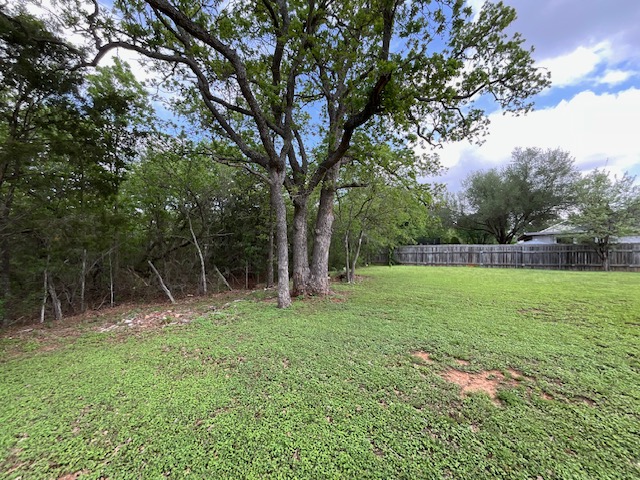 117 Allison Cove Elgin, TX 78621 - Photo 6 of 15 a backyard of a house with lots of green space