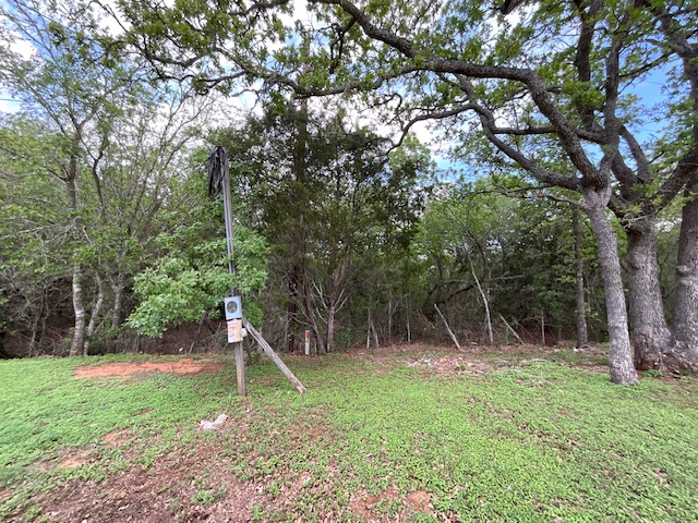 117 Allison Cove Elgin, TX 78621 - Photo 7 of 15 a view of a backyard with a slide trees and wooden fence