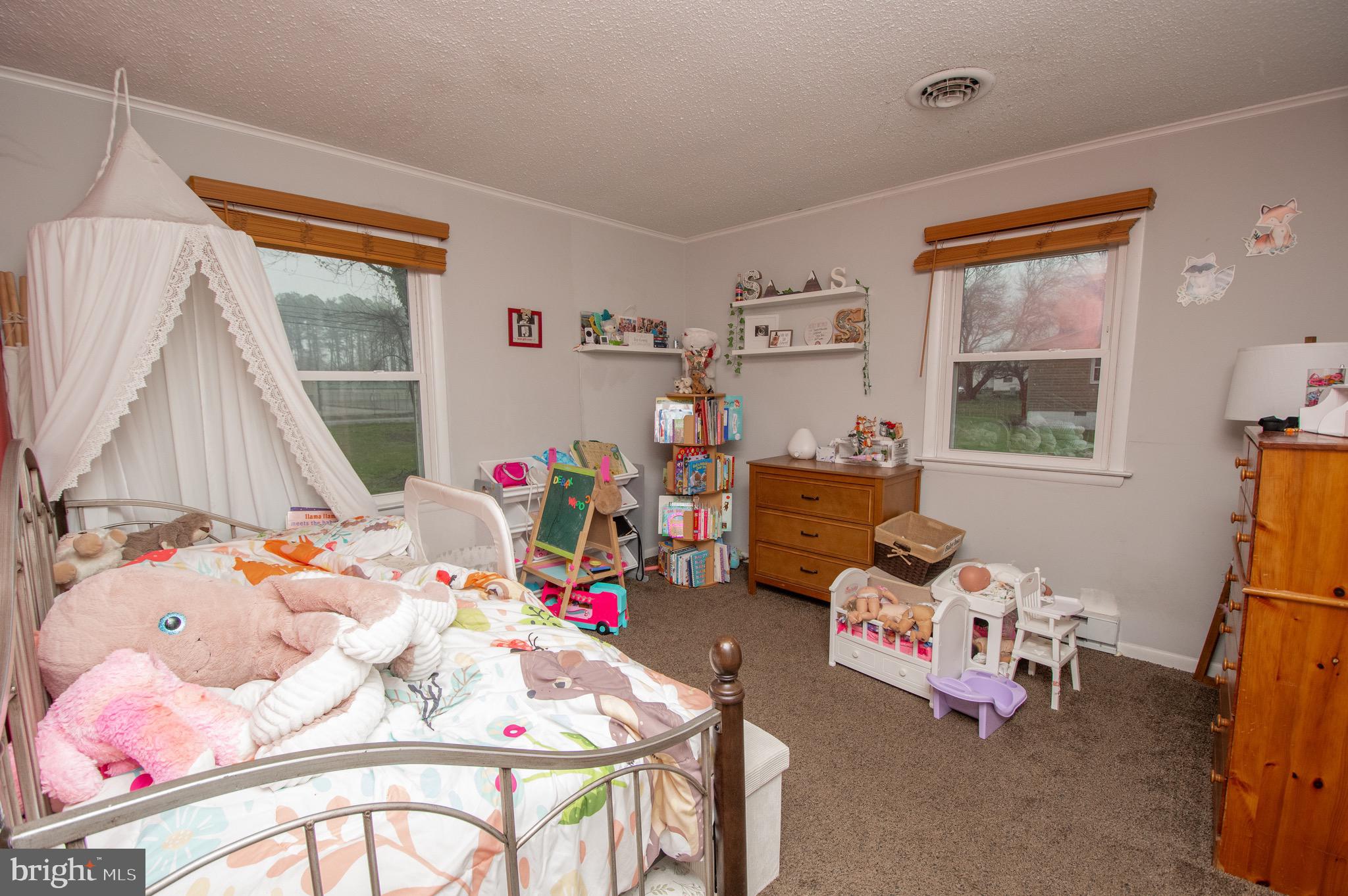 6790 Zion Church Road Salisbury, MD 21804 - Photo 11 of 13 a bedroom with furniture and a window