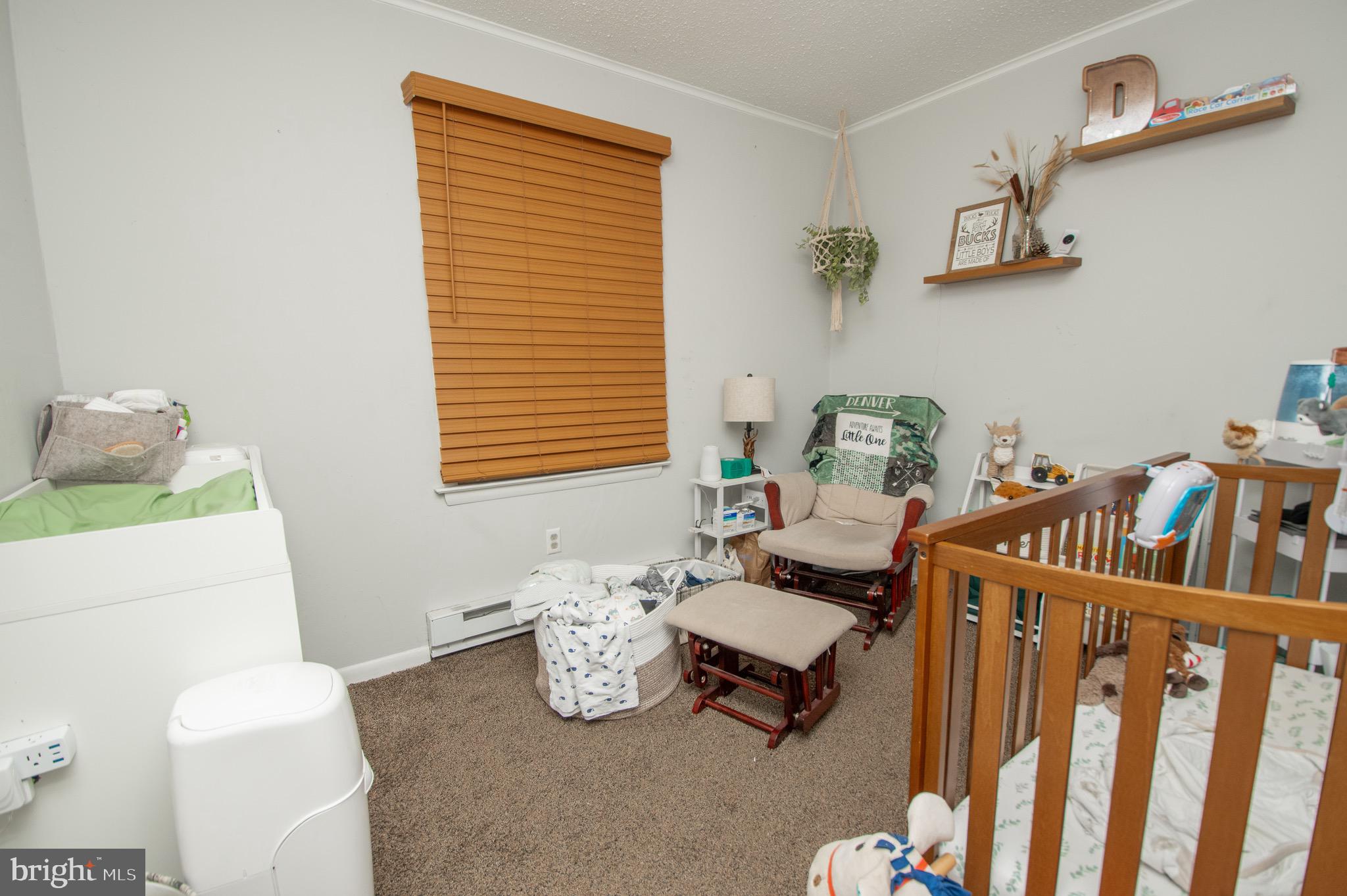 6790 Zion Church Road Salisbury, MD 21804 - Photo 12 of 13