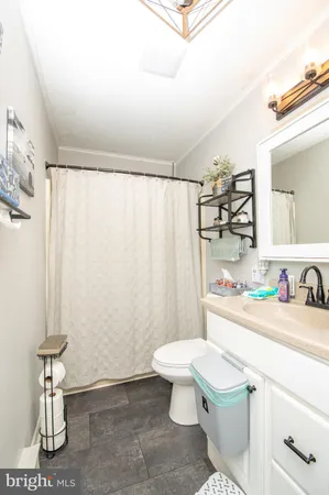 a bathroom with a sink a toilet and shower curtain