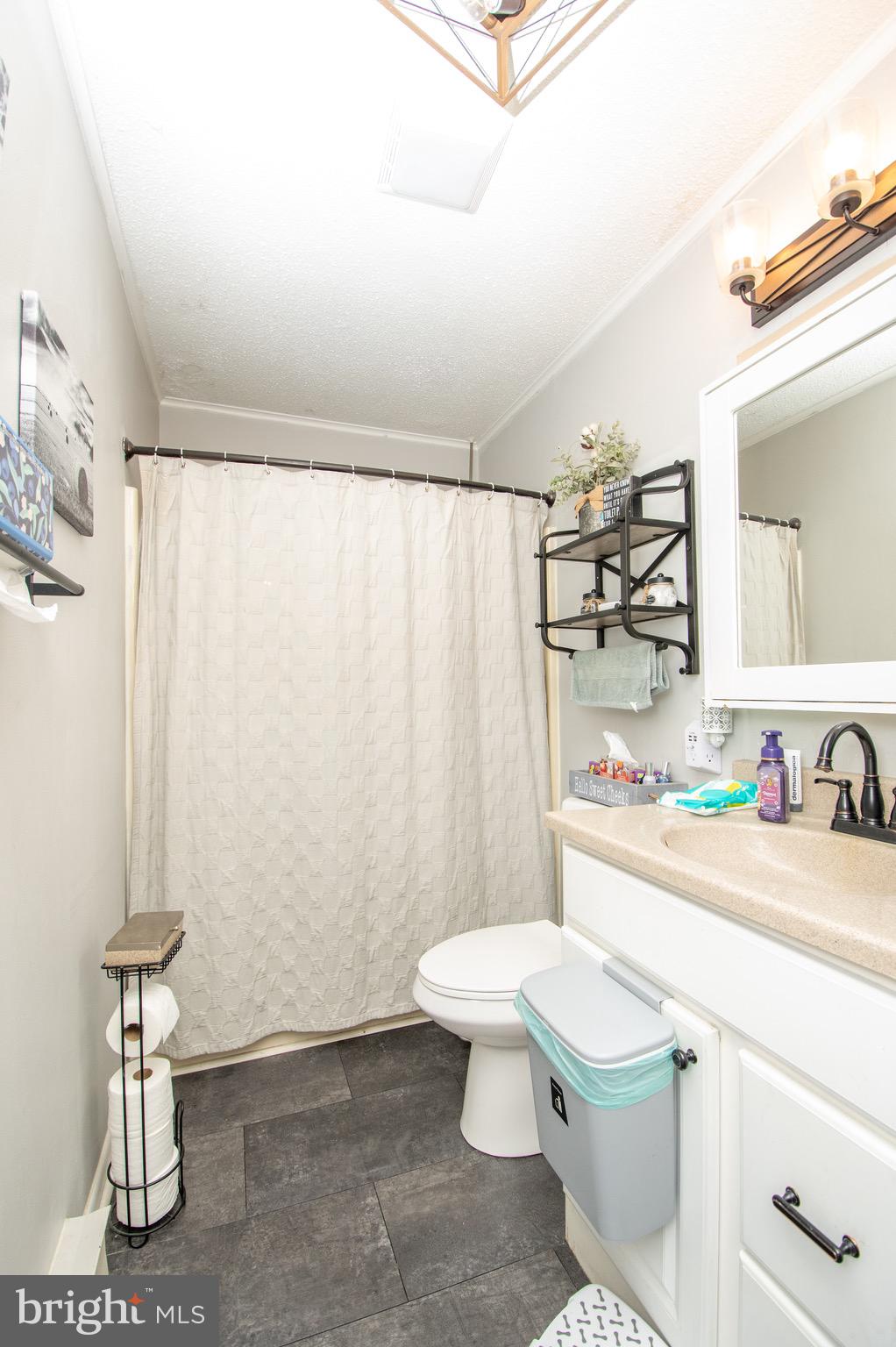 6790 Zion Church Road Salisbury, MD 21804 - Photo 9 of 13 a bathroom with a sink a toilet and shower curtain