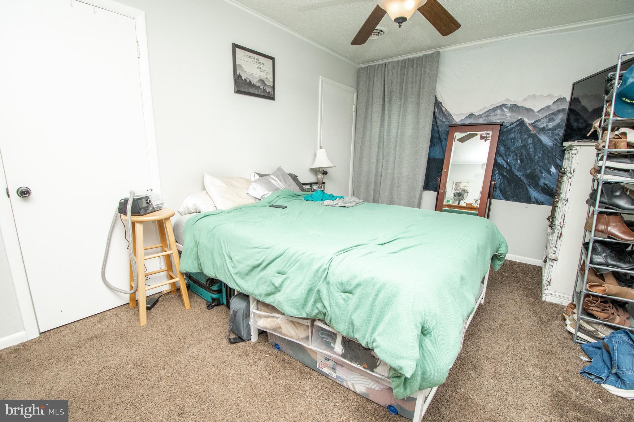 6790 Zion Church Road Salisbury, MD 21804 - Photo 10 of 13 a bed sitting in a bedroom next to a flat tv screen and a chandelier