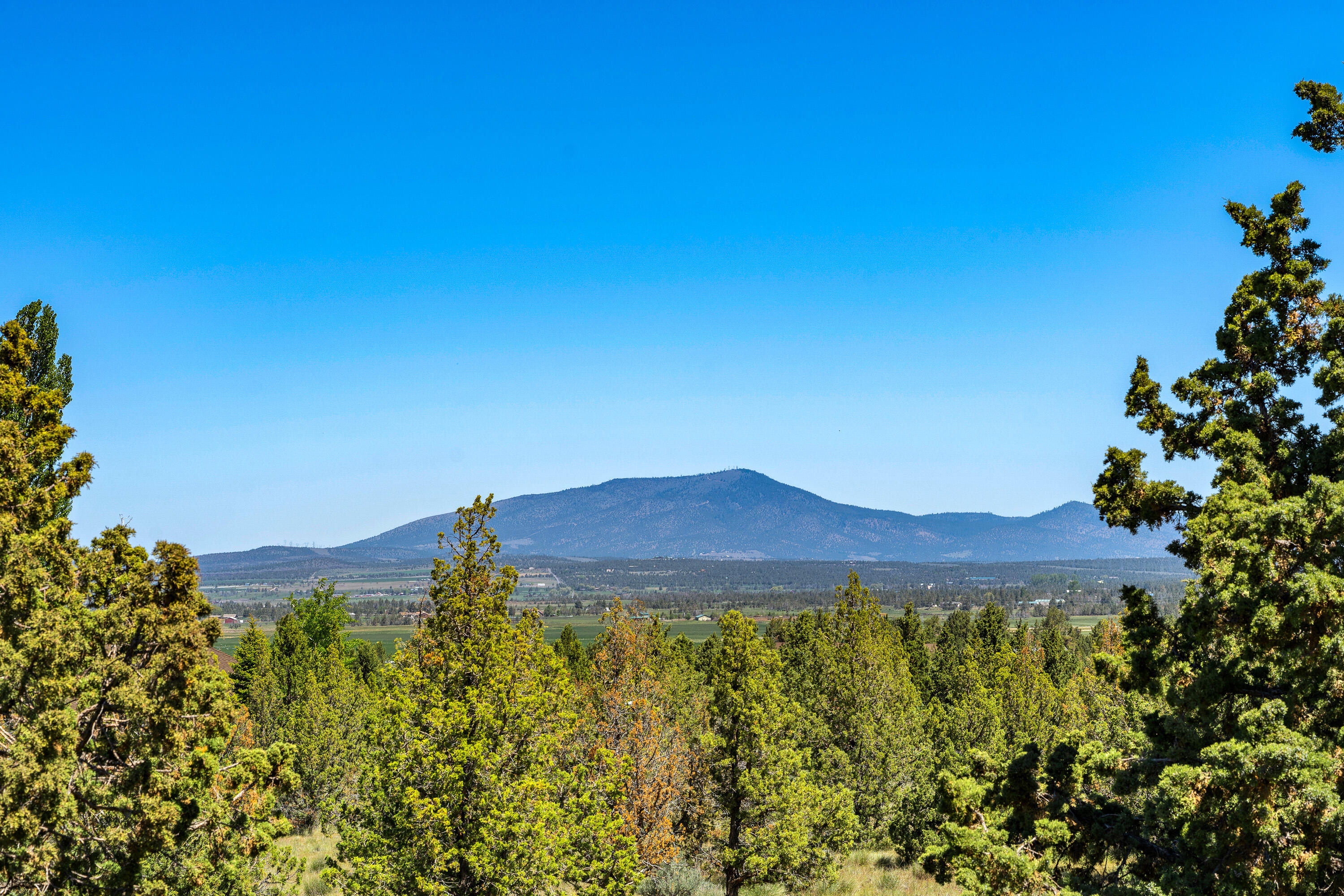 Southwest Joshua Court Powell Butte, OR 97753 - Photo 20 of 21 DSC06840