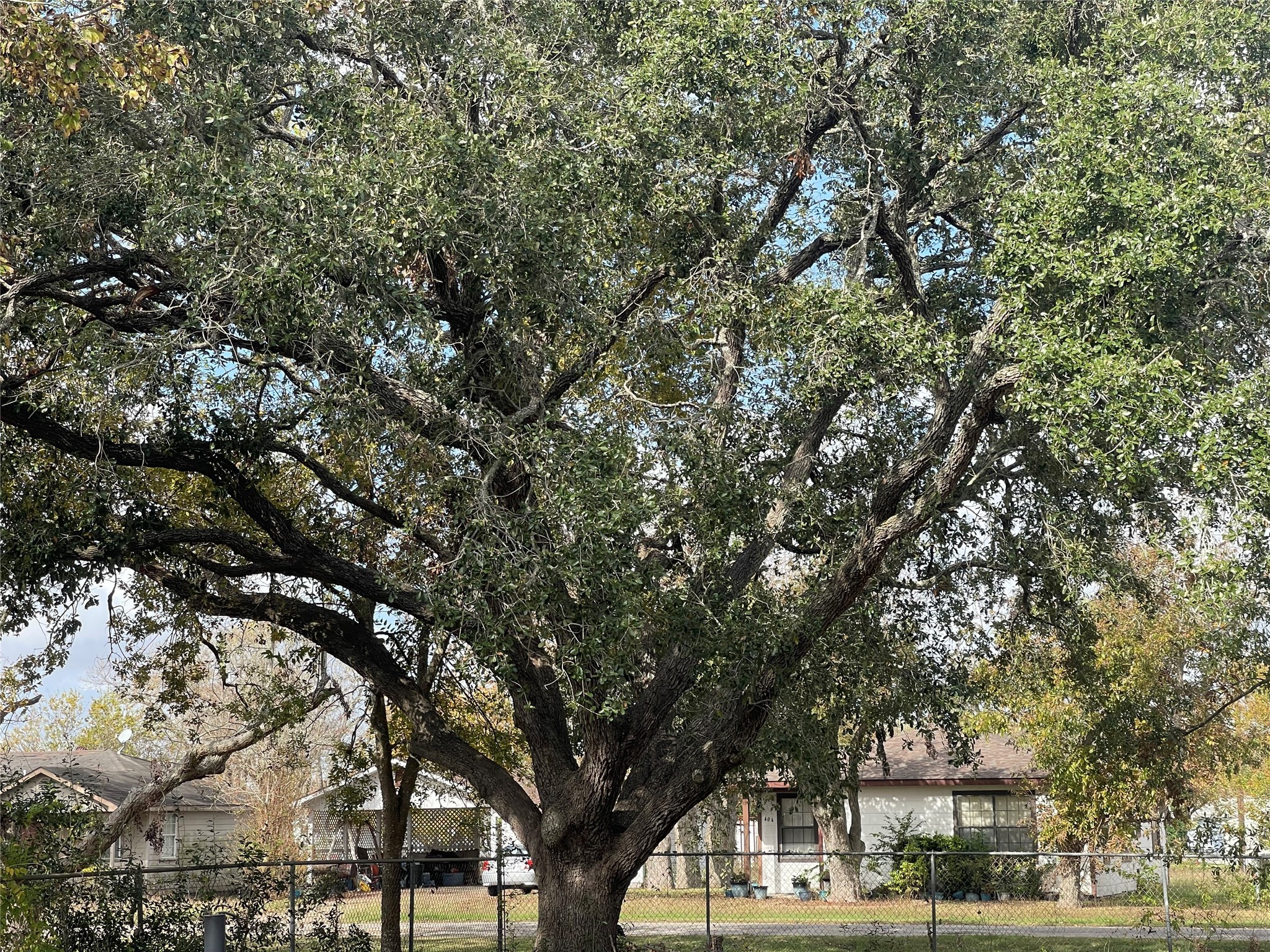 711 4th Street Palacios, TX 77465 - Photo 14 of 14