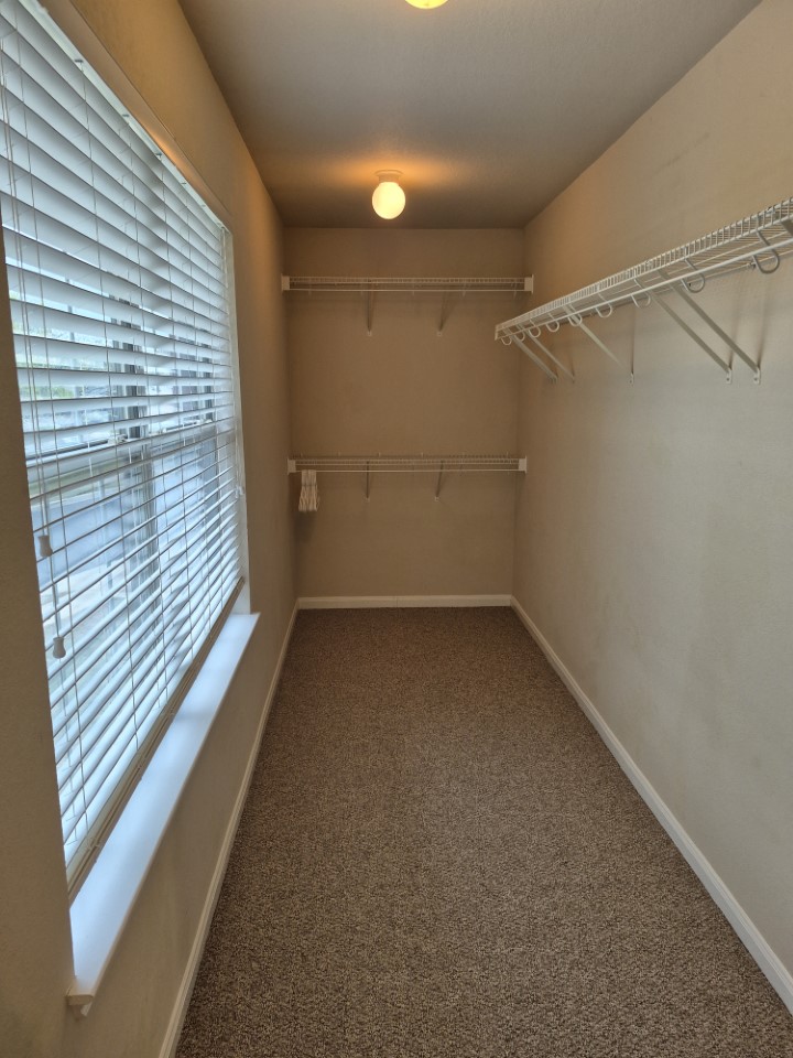 808 Busleigh Castle Way Pflugerville, TX 78660 - Photo 22 of 31 Mother-in-law suite amazing closet!
