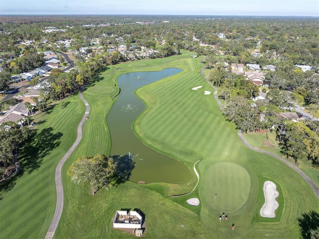 7099 Pond View Court Spring Hill, FL 34606 - Photo 3 of 64 an aerial view of a golf course with a lake view
