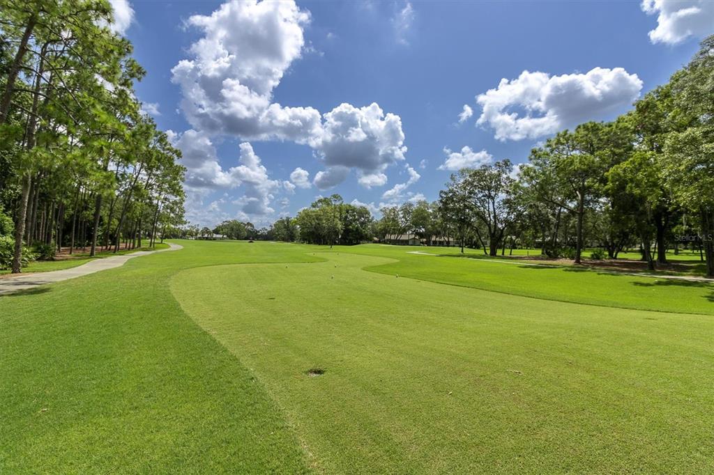 7099 Pond View Court Spring Hill, FL 34606 - Photo 45 of 64 a view of a golf course with a big yard
