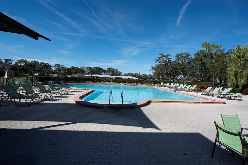 7099 Pond View Court Spring Hill, FL 34606 - Photo 48 of 64 a view of swimming pool with outdoor seating and plants