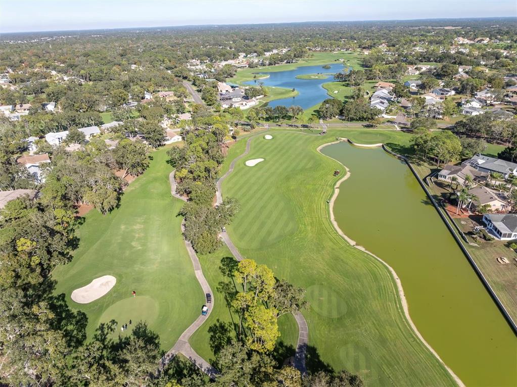 7099 Pond View Court Spring Hill, FL 34606 - Photo 61 of 64 an aerial view of residential houses with outdoor space