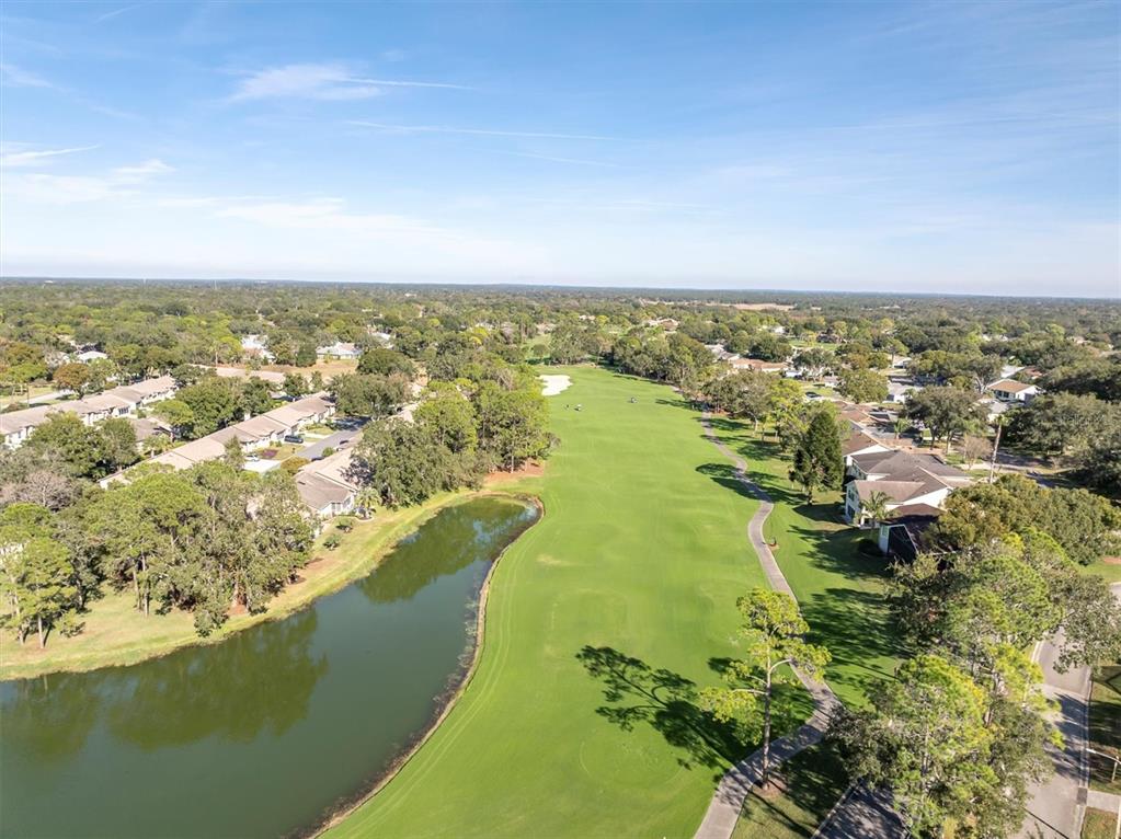 7099 Pond View Court Spring Hill, FL 34606 - Photo 62 of 64
