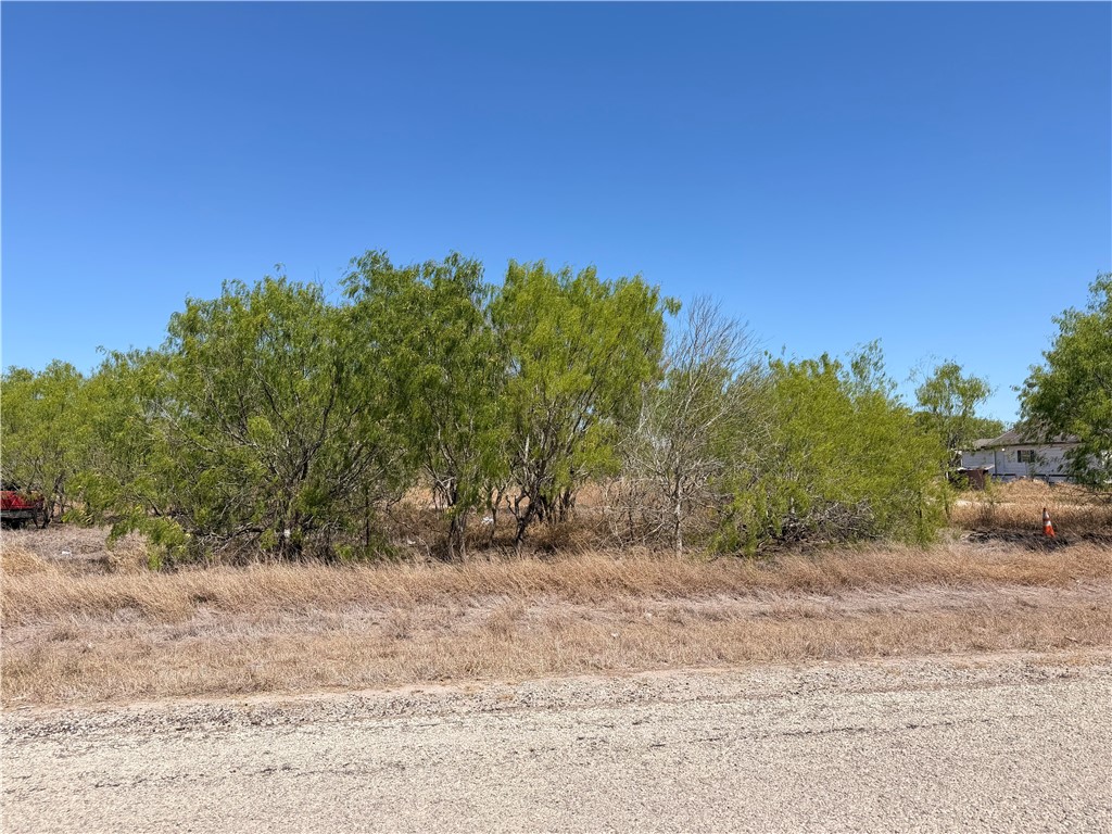 0 La Paloma Road Bishop, TX 78343 - Photo 2 of 6 a view of a yard