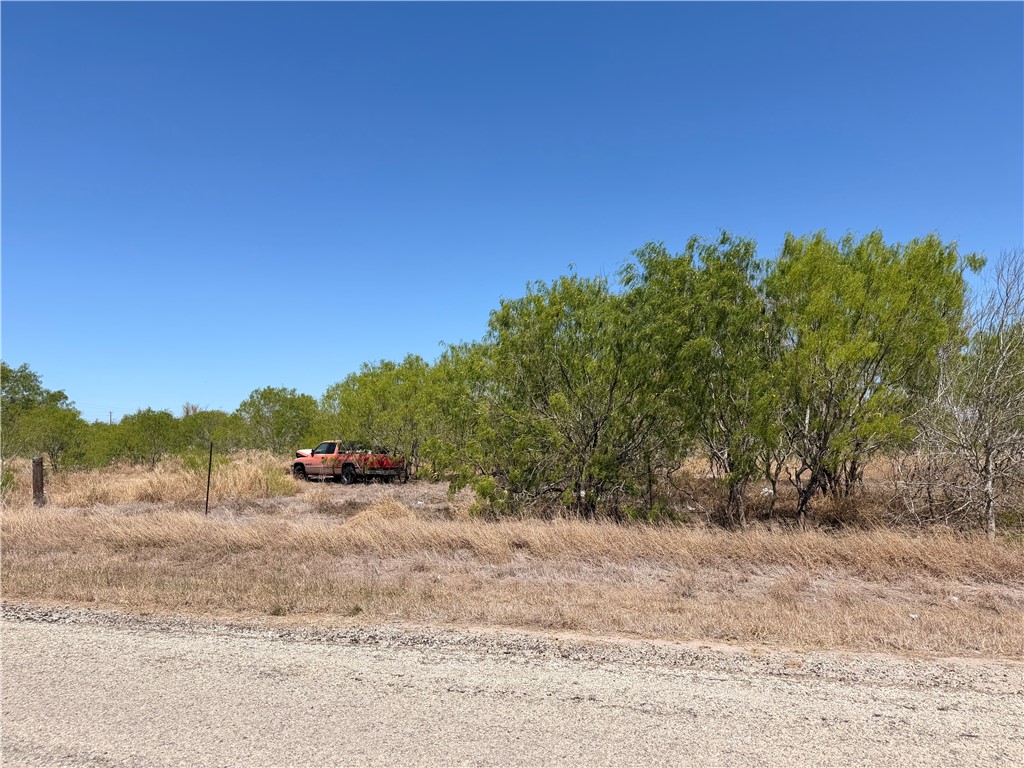 0 La Paloma Road Bishop, TX 78343 - Photo 3 of 6 a view of a yard with a tree