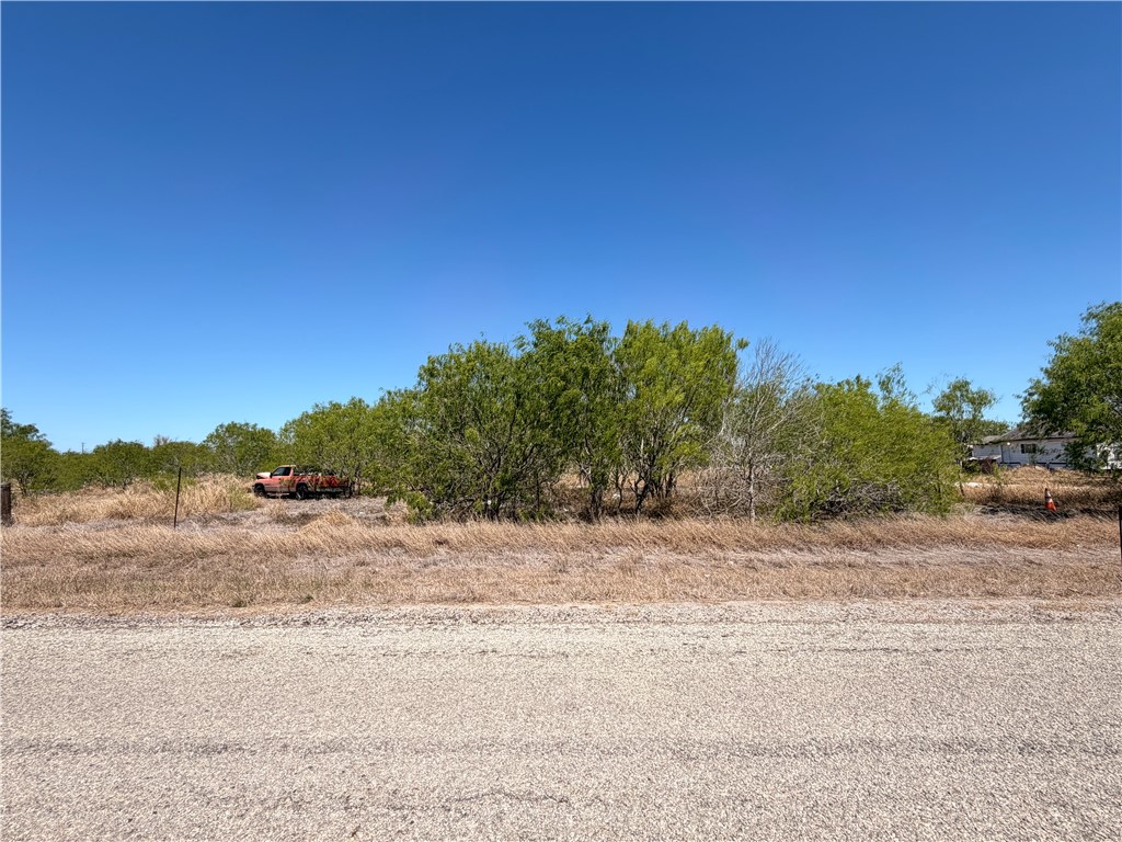 0 La Paloma Road Bishop, TX 78343 - Photo 4 of 6 a view of a beach with a large tree