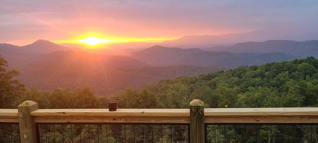 706 Shell Mountain Road Sevierville, TN 37876 - Photo 2 of 32 Gallery Image 2