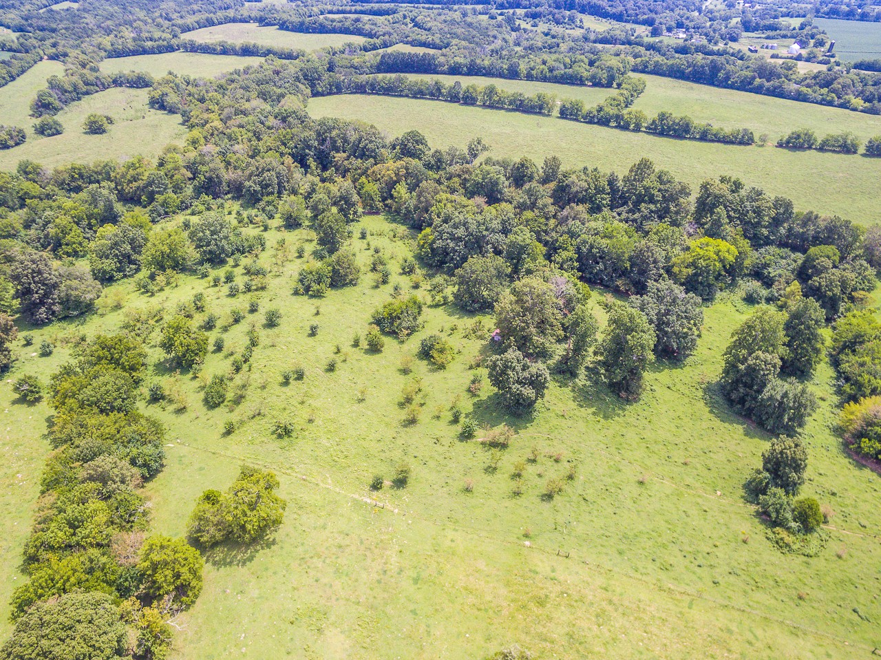 0 Coble Road Shelbyville, TN 37160 - Photo 11 of 21 Gallery Image 11