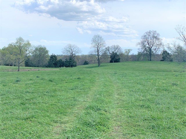 0 Coble Road Shelbyville, TN 37160 - Photo 12 of 21 Gallery Image 12