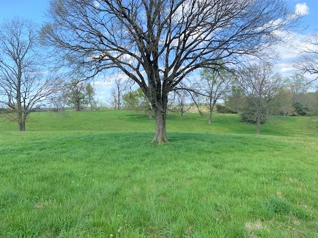 0 Coble Road Shelbyville, TN 37160 - Photo 14 of 21 Gallery Image 14