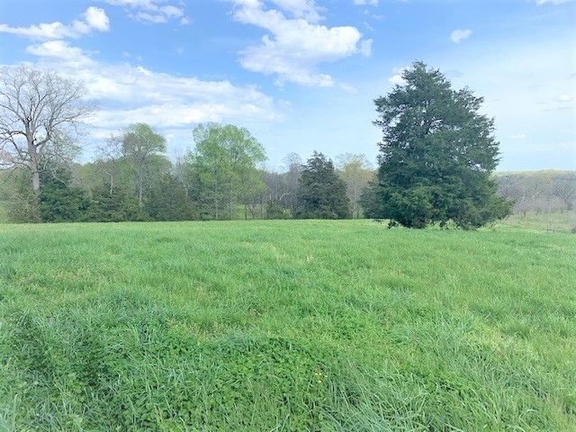 0 Coble Road Shelbyville, TN 37160 - Photo 16 of 21 Gallery Image 16