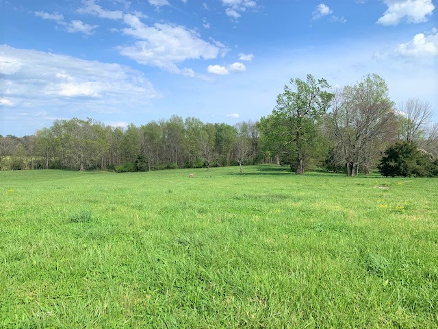 0 Coble Road Shelbyville, TN 37160 - Photo 18 of 21 Gallery Image 18