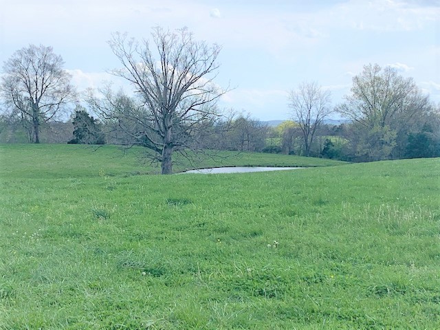 0 Coble Road Shelbyville, TN 37160 - Photo 20 of 21 Gallery Image 20