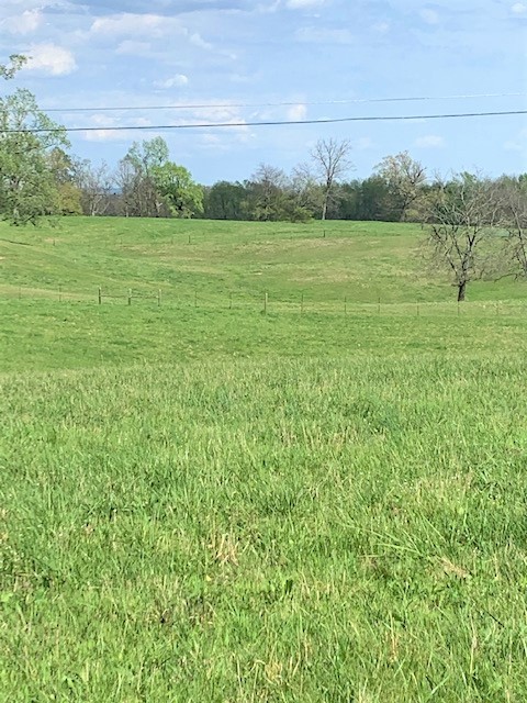 0 Coble Road Shelbyville, TN 37160 - Photo 5 of 21 Gallery Image 5
