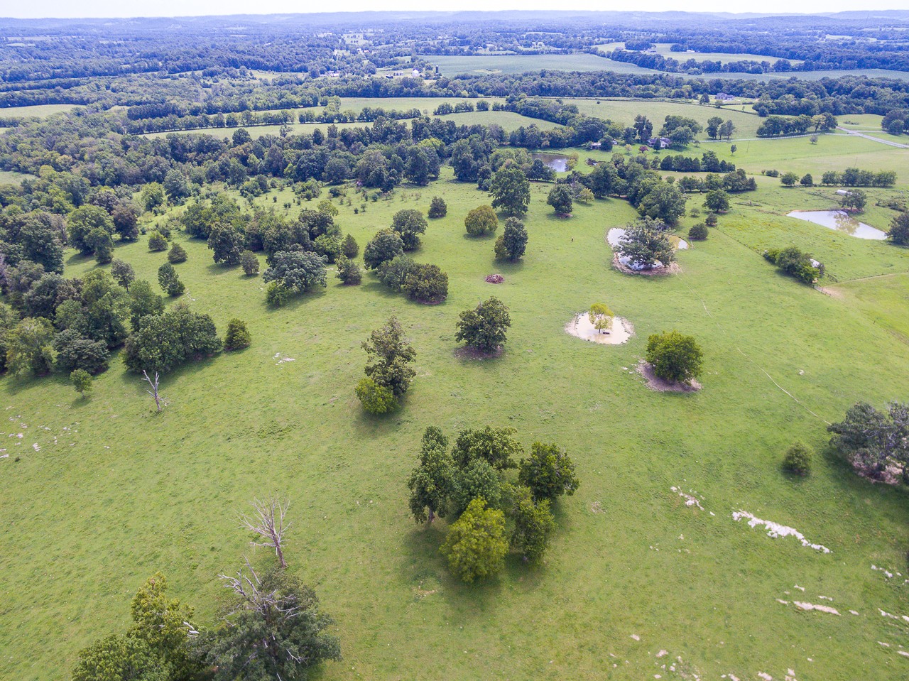 0 Coble Road Shelbyville, TN 37160 - Photo 9 of 21 Gallery Image 9