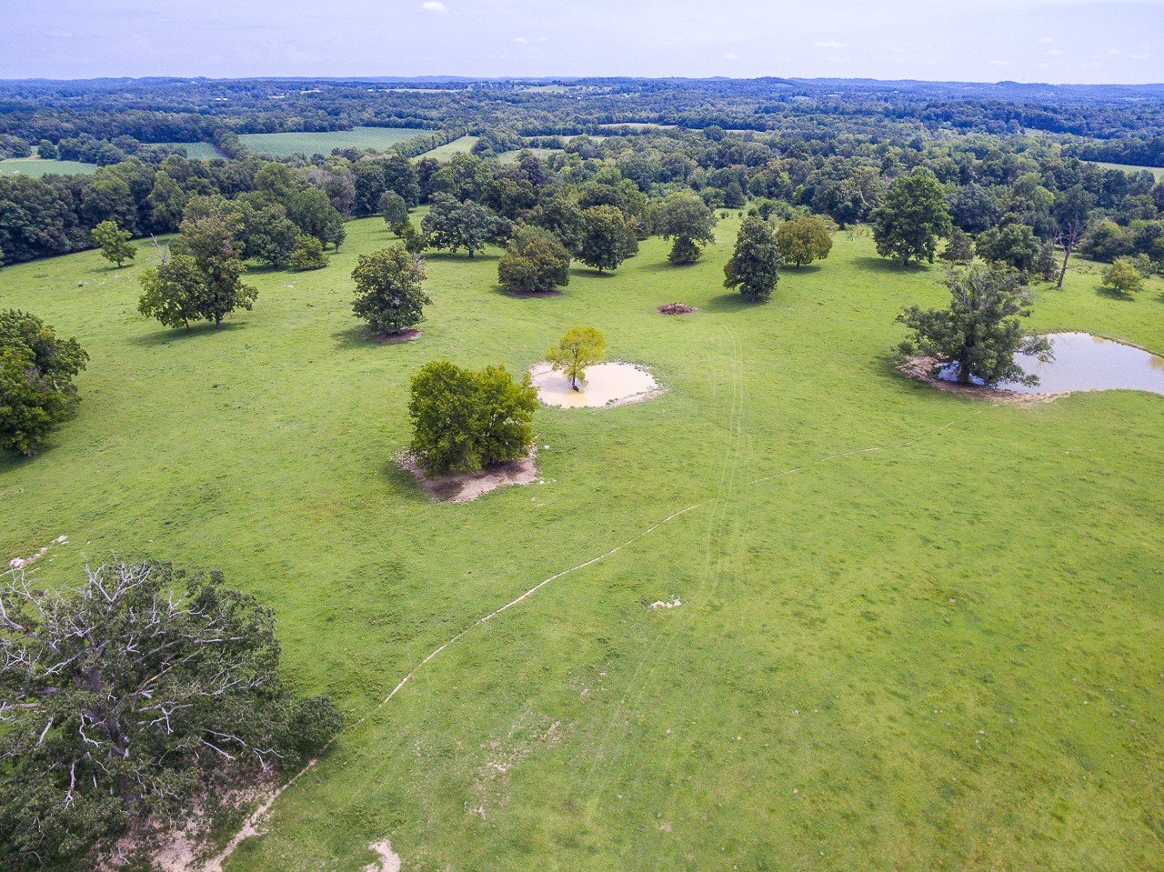 0 Coble Road Shelbyville, TN 37160 - Photo 10 of 21 Gallery Image 10