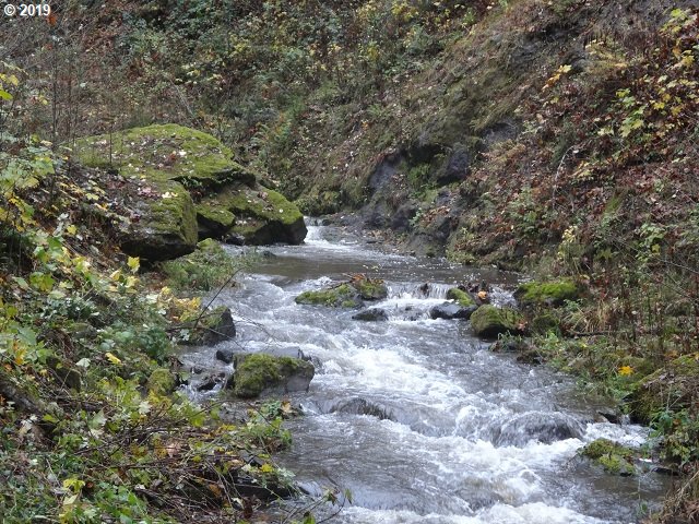 7210 Kalama River Road Kalama, WA 98625 - Photo 1 of 18 Gallery Image 1