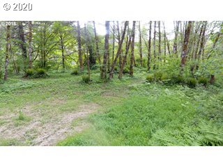 7210 Kalama River Road Kalama, WA 98625 - Photo 12 of 18 Gallery Image 12