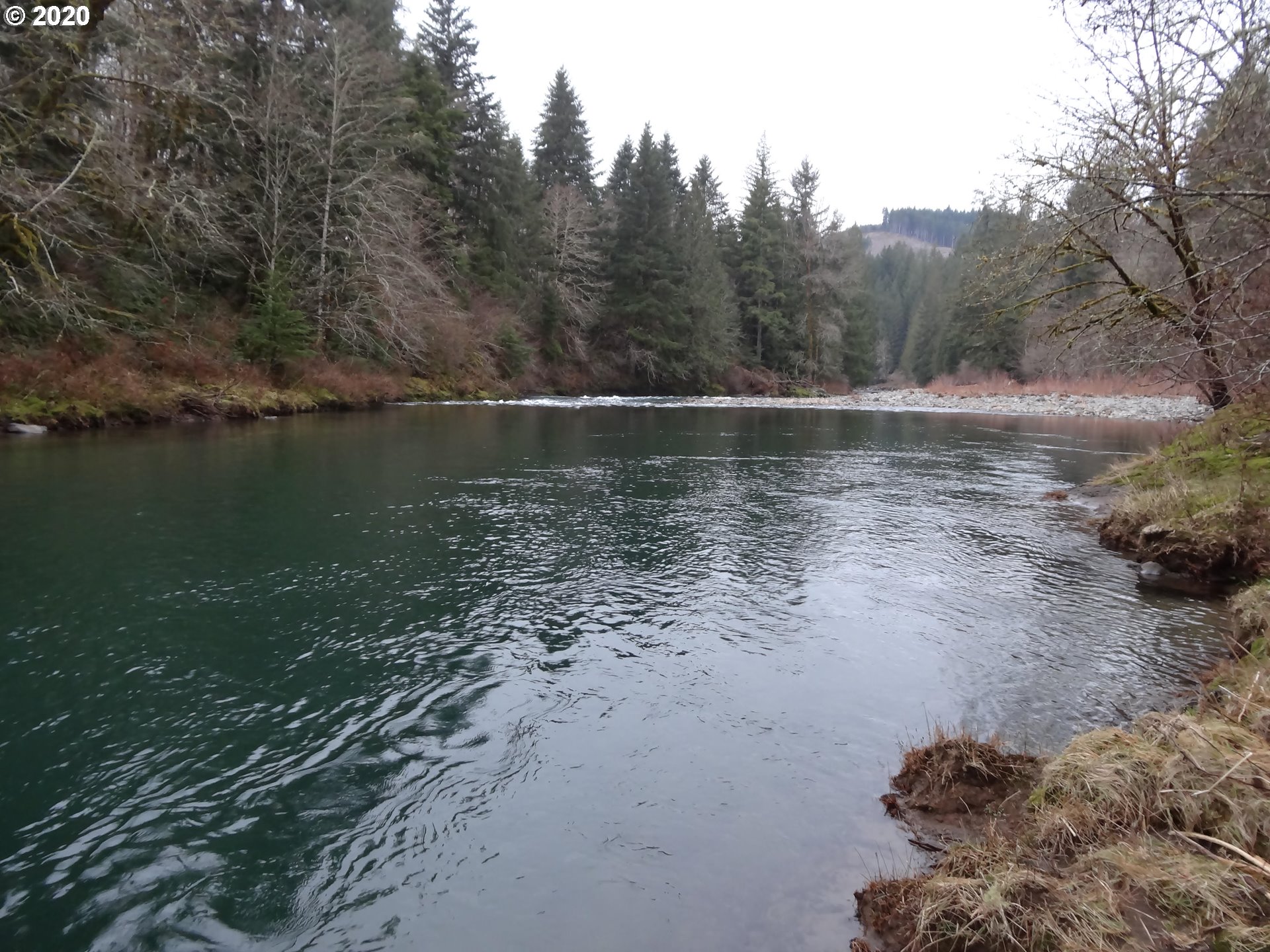 7210 Kalama River Road Kalama, WA 98625 - Photo 3 of 18 Gallery Image 3