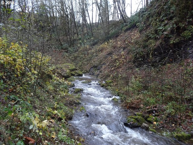 7210 Kalama River Road Kalama, WA 98625 - Photo 5 of 18 Gallery Image 5