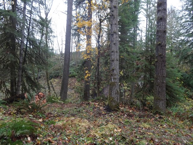 7210 Kalama River Road Kalama, WA 98625 - Photo 6 of 18 Gallery Image 6
