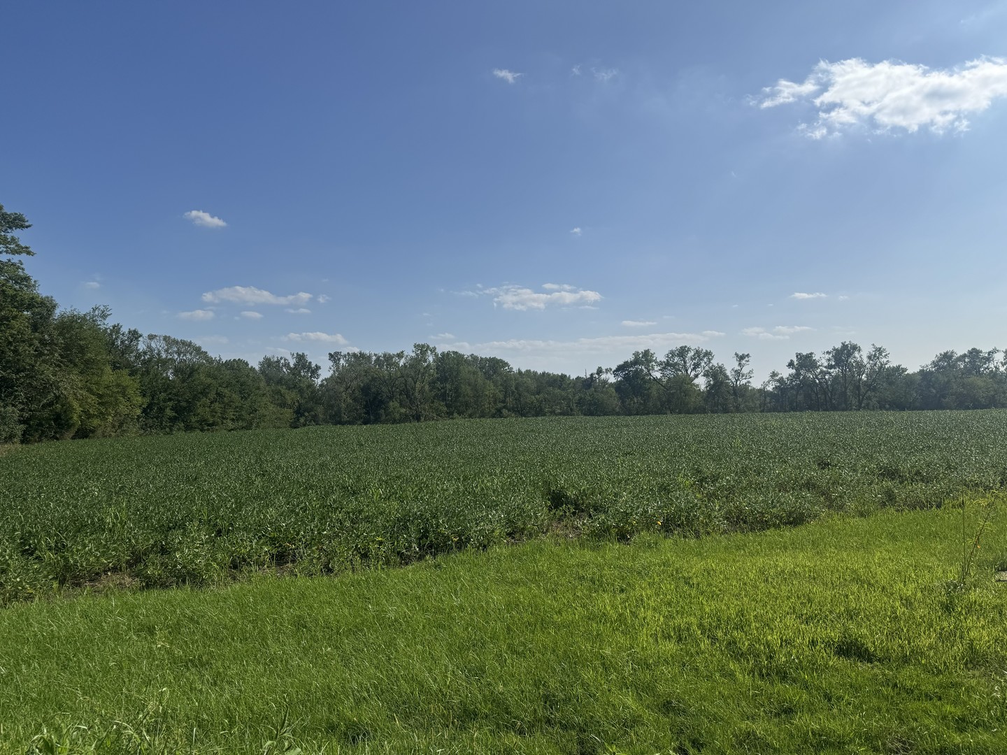 7659 West Steger Road Frankfort, IL 60423 - Photo 7 of 7 Gallery Image 7
