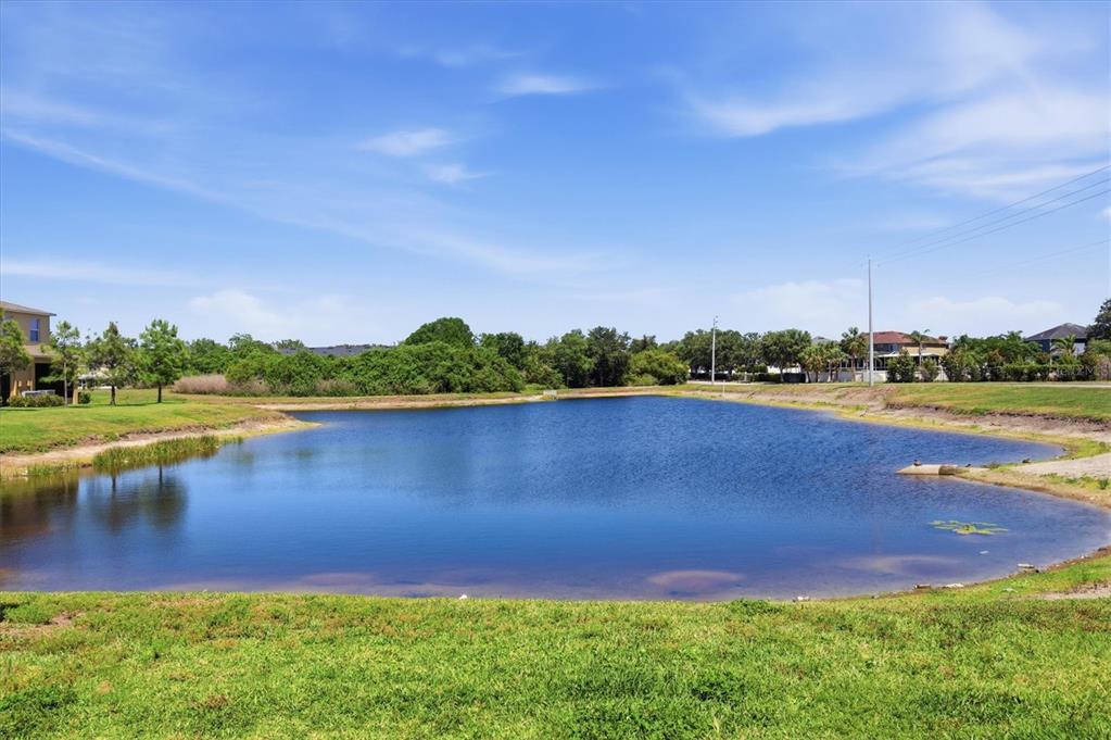 12909 Dream Catcher Way Riverview, FL 33579 - Photo 28 of 32 a view of a lake with houses in the background