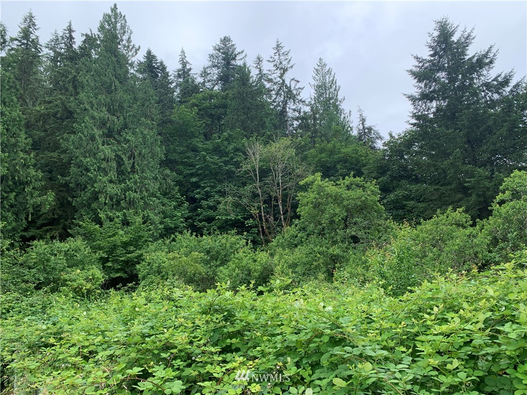 22221 Southeast Bain Road Renton, WA 98058 - Photo 1 of 9