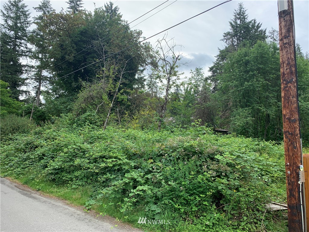22221 Southeast Bain Road Renton, WA 98058 - Photo 2 of 9