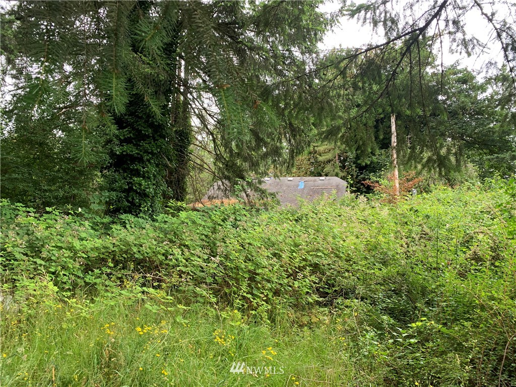 22221 Southeast Bain Road Renton, WA 98058 - Photo 5 of 9