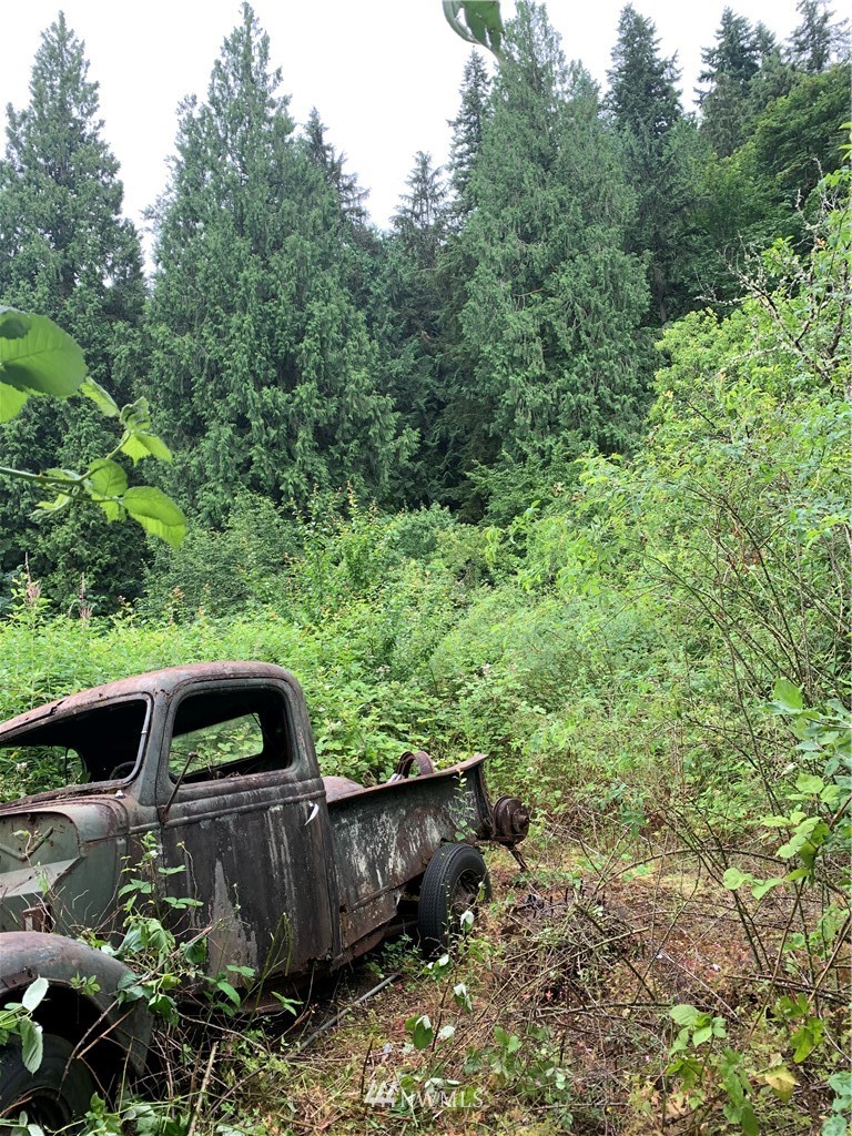 22221 Southeast Bain Road Renton, WA 98058 - Photo 9 of 9