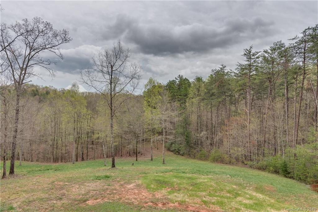 0 Sloping Meadow Mill Spring, NC 28756 - Photo 23 of 26 a view of a green field with trees in the background