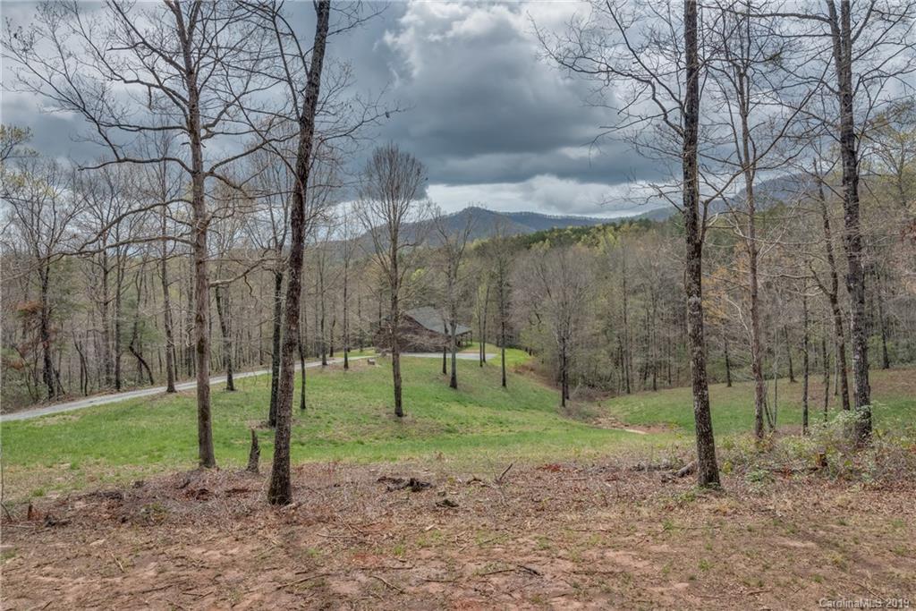 0 Sloping Meadow Mill Spring, NC 28756 - Photo 7 of 26 a view of a park