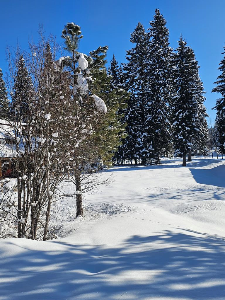 Tbd Divot Lane, Unit 4 McCall, ID 83638 - Photo 16 of 18