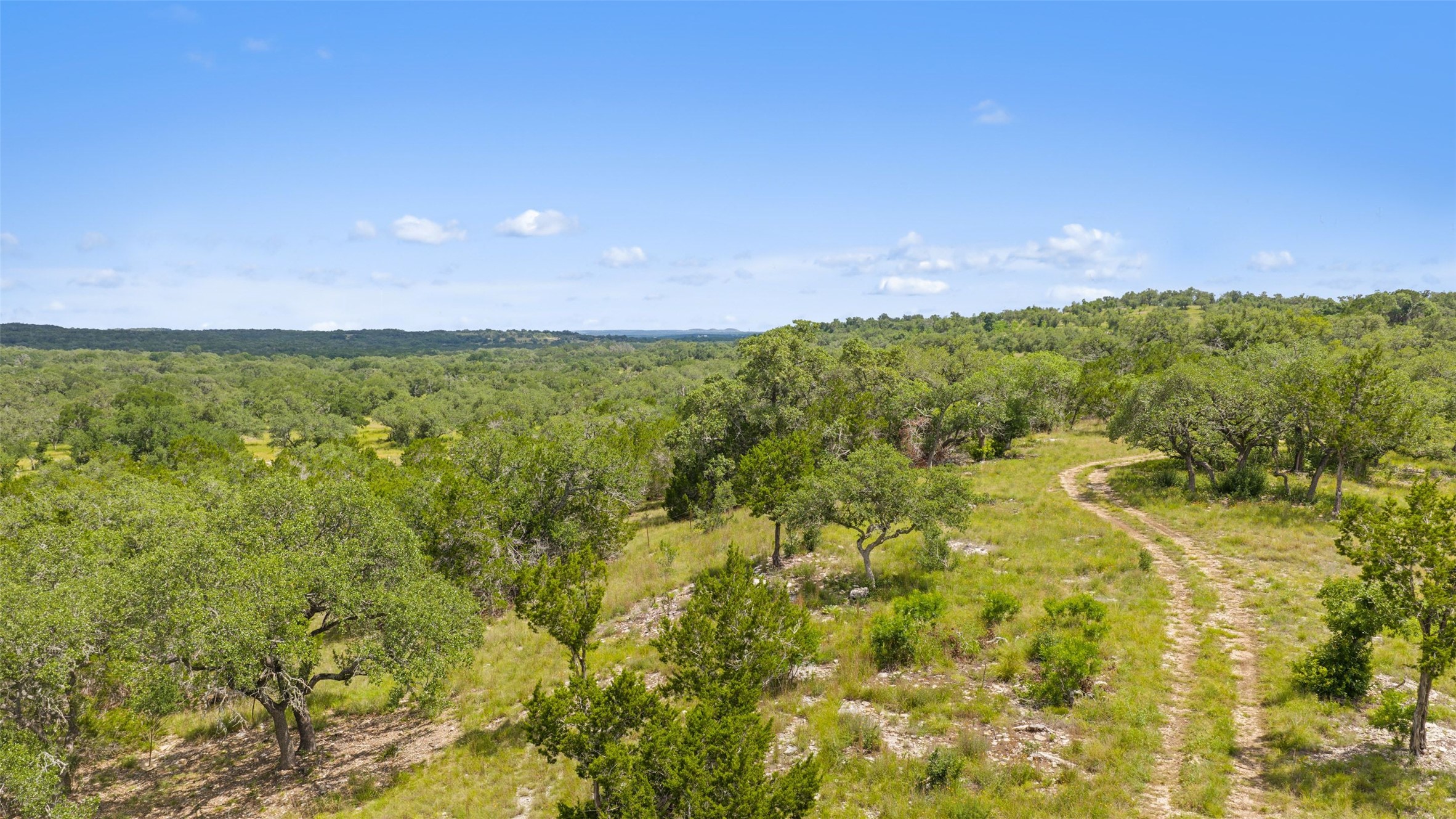 505 Red Corral Ranch Road Wimberley, TX 78676 - Photo 15 of 40 Vast, verdant landscape stretches to the horizon, offering privacy and scenic beauty.