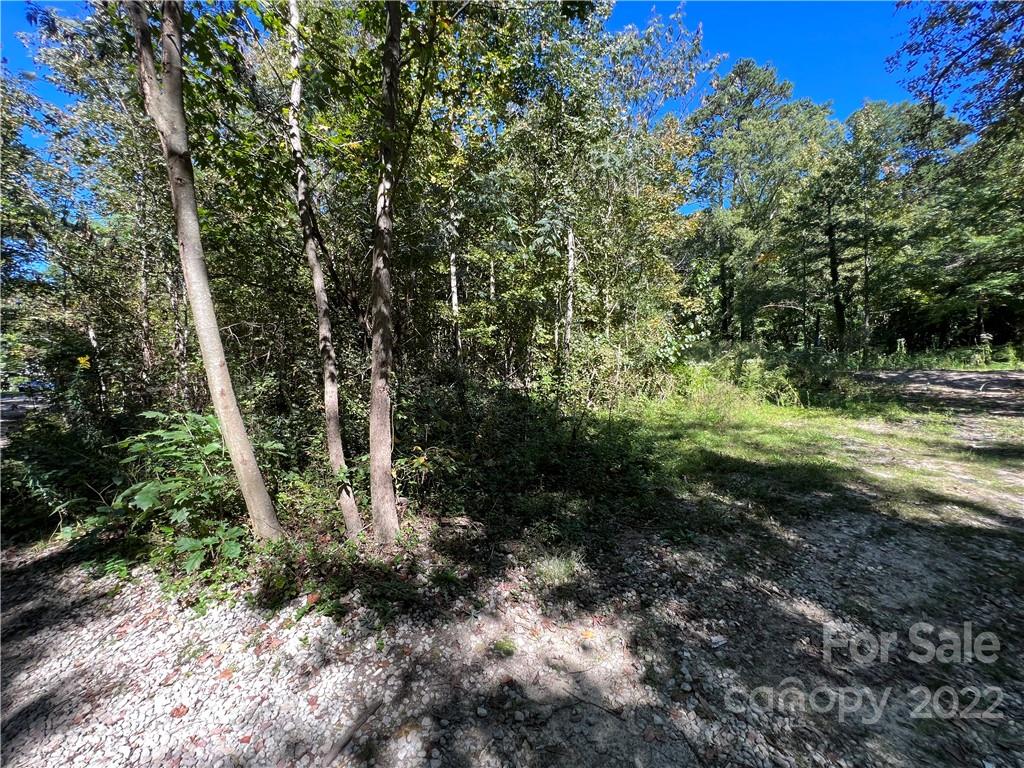 7628 Shadow Lawn Road Charlotte, NC 28269 - Photo 2 of 15 Gallery Image 2