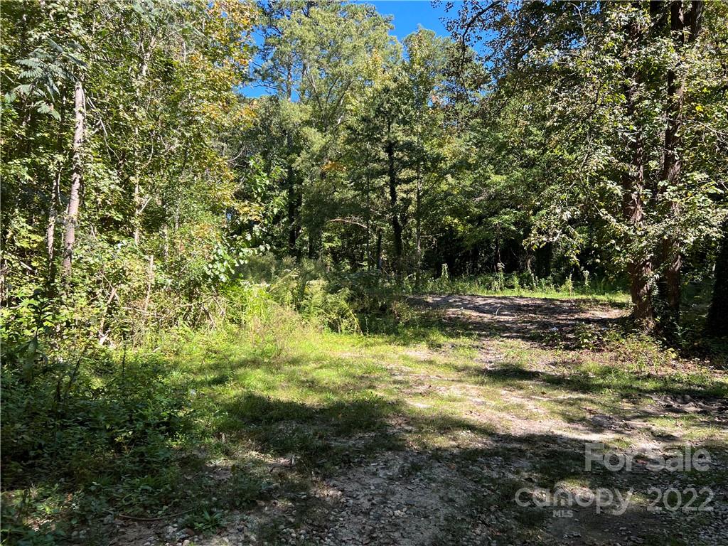7628 Shadow Lawn Road Charlotte, NC 28269 - Photo 3 of 15 Gallery Image 3