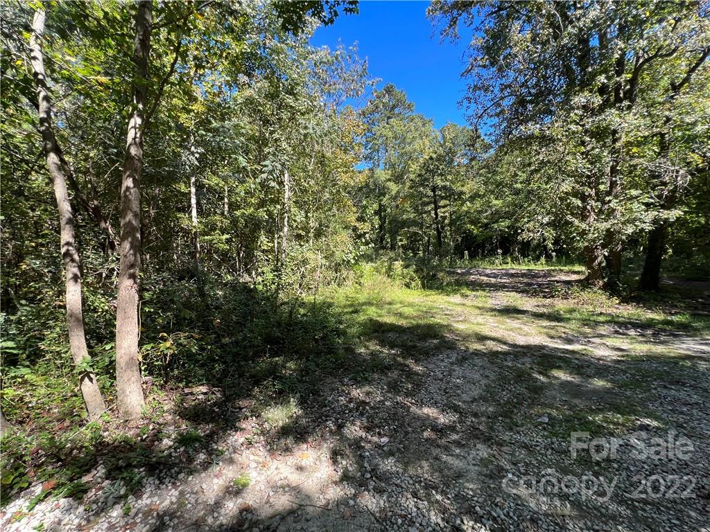 7628 Shadow Lawn Road Charlotte, NC 28269 - Photo 4 of 15 Gallery Image 4